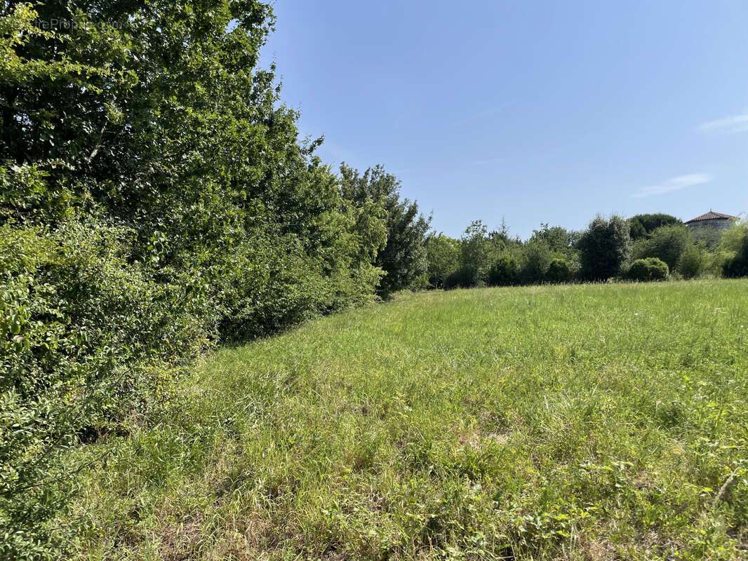 Terrain à LA ROMIEU