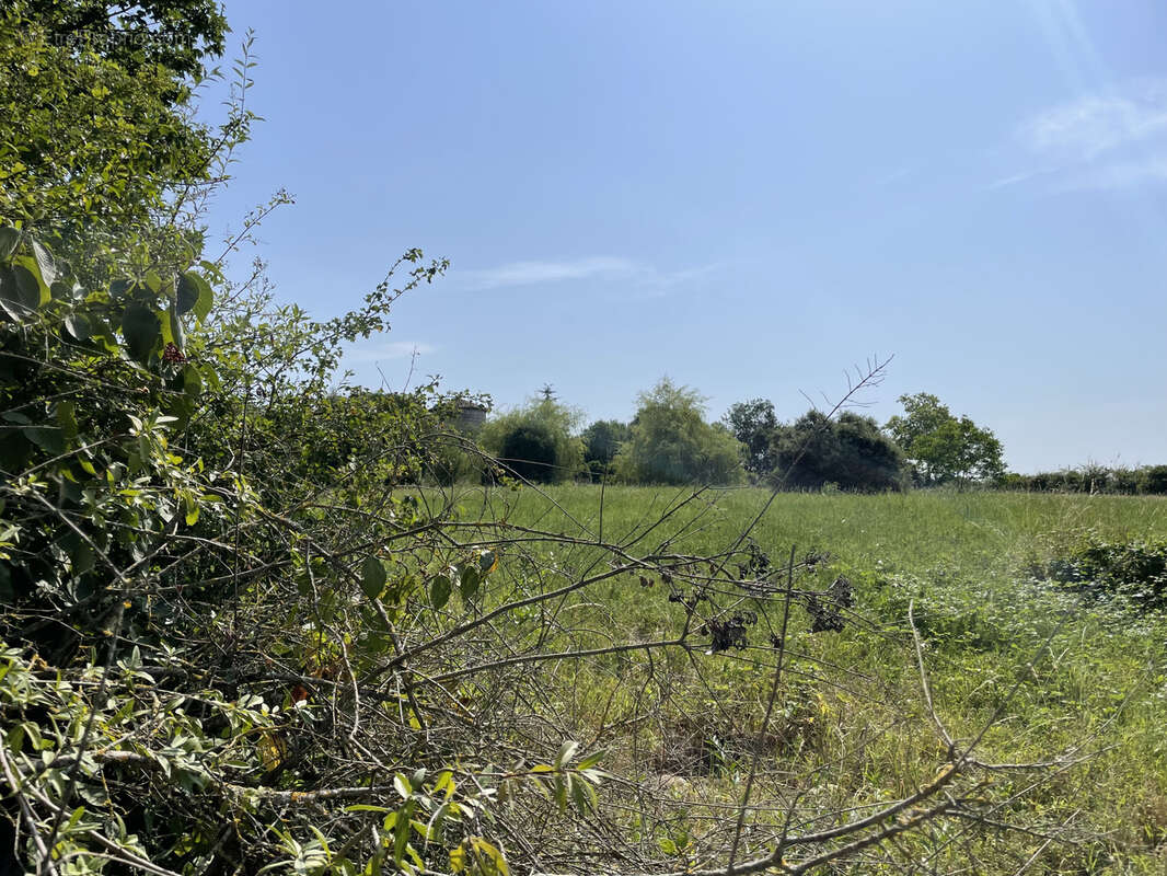 Terrain à LA ROMIEU