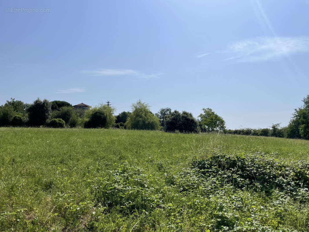 Terrain à LA ROMIEU