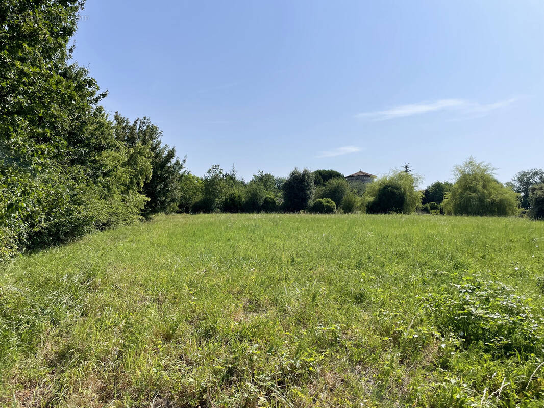 Terrain à LA ROMIEU