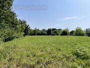 Terrain à LA ROMIEU