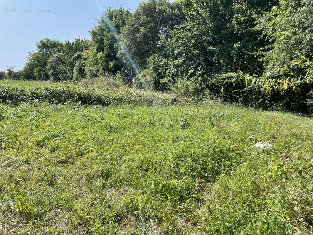 Terrain à LA ROMIEU