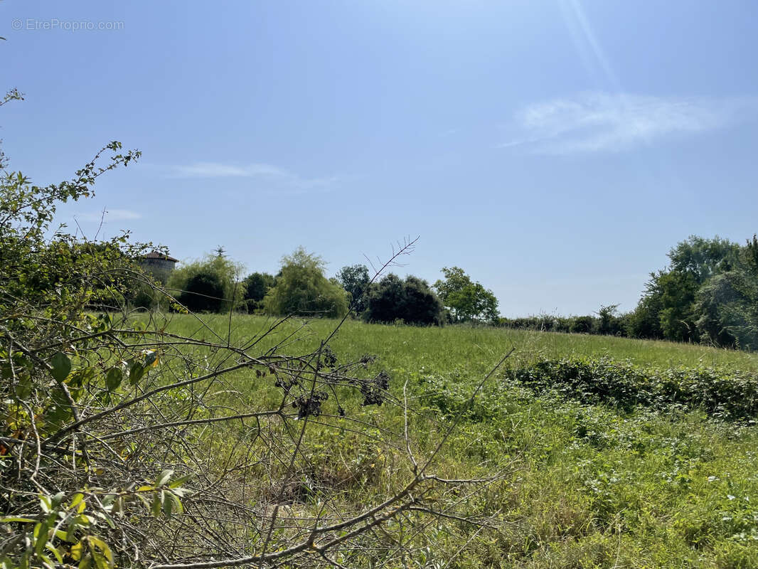 Terrain à LA ROMIEU