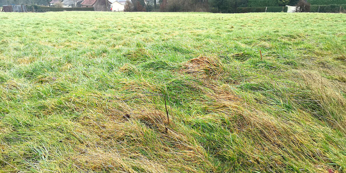 Terrain à TINCQUES