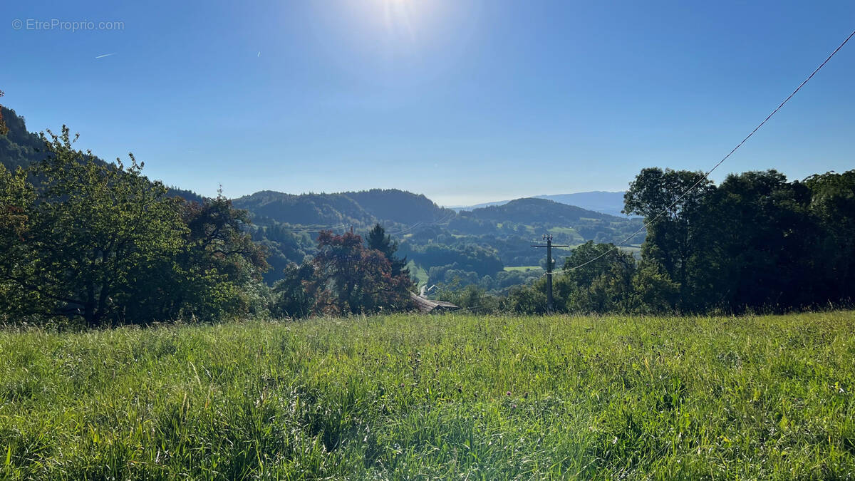 Terrain à SAINT-JEAN-DE-THOLOME