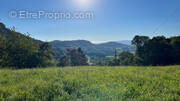 Terrain à SAINT-JEAN-DE-THOLOME