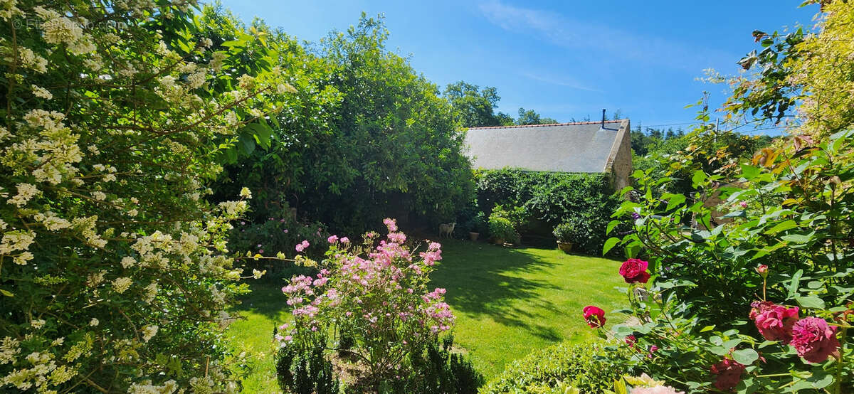 Maison à CLOHARS-CARNOET