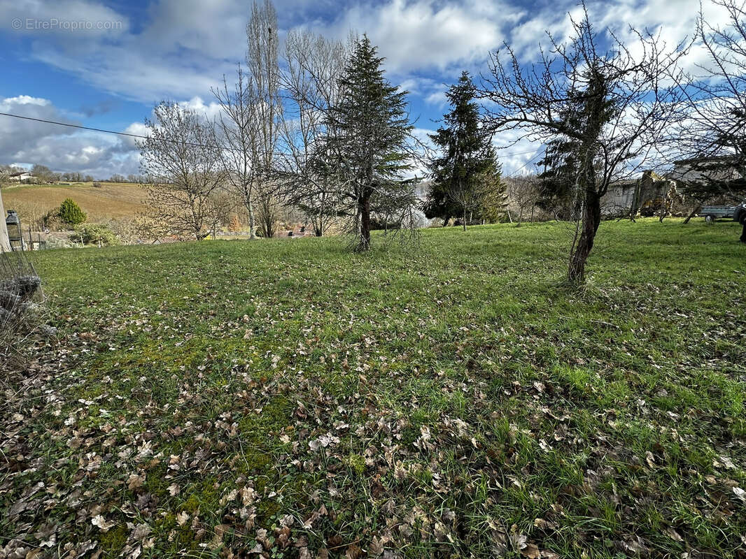 Terrain à PONT-DU-CASSE