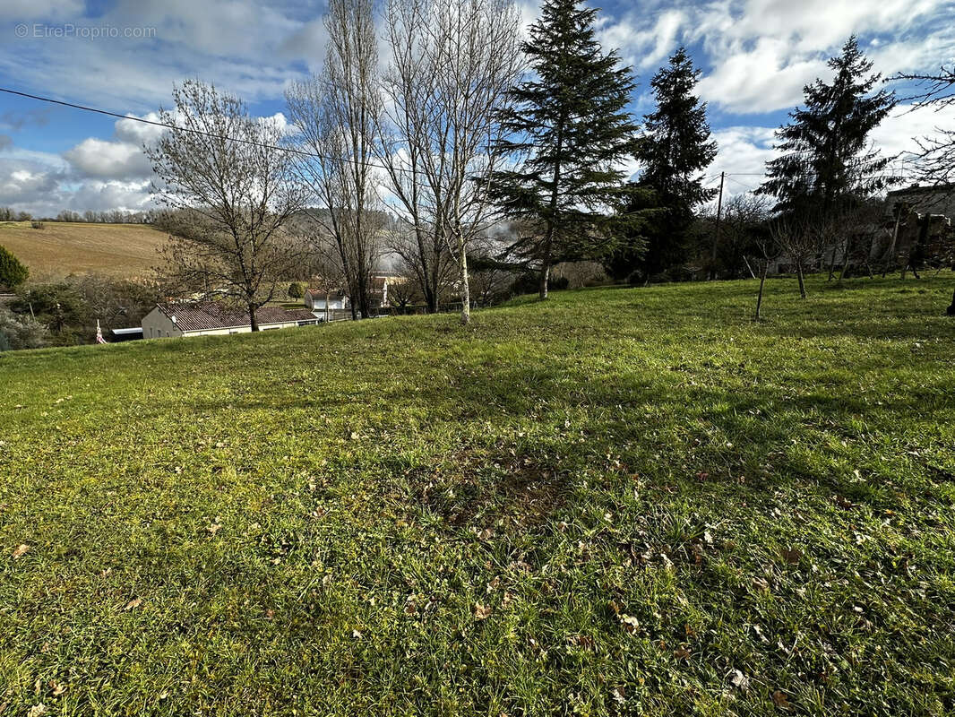 Terrain à PONT-DU-CASSE