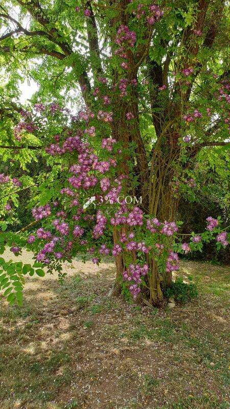 Maison à SAINT-GEORGES-LES-BAILLARGEAUX