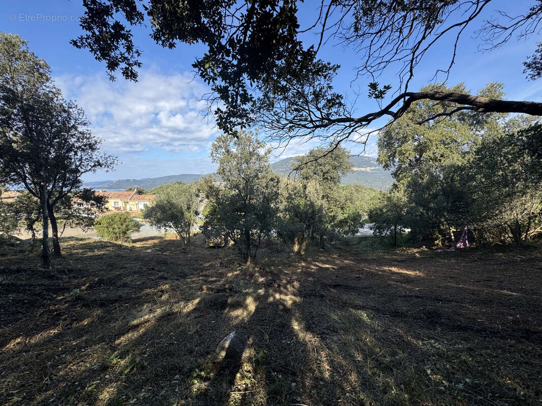 Terrain à VIGGIANELLO