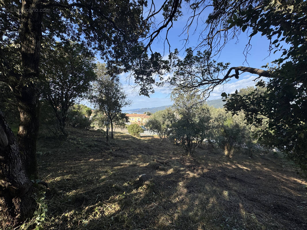 Terrain à VIGGIANELLO