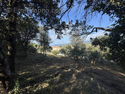 Terrain à VIGGIANELLO