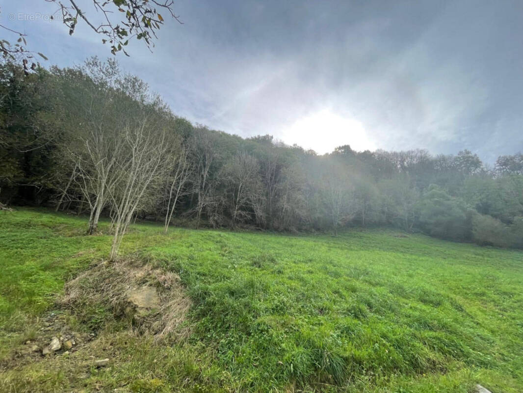 Terrain à LICQ-ATHEREY
