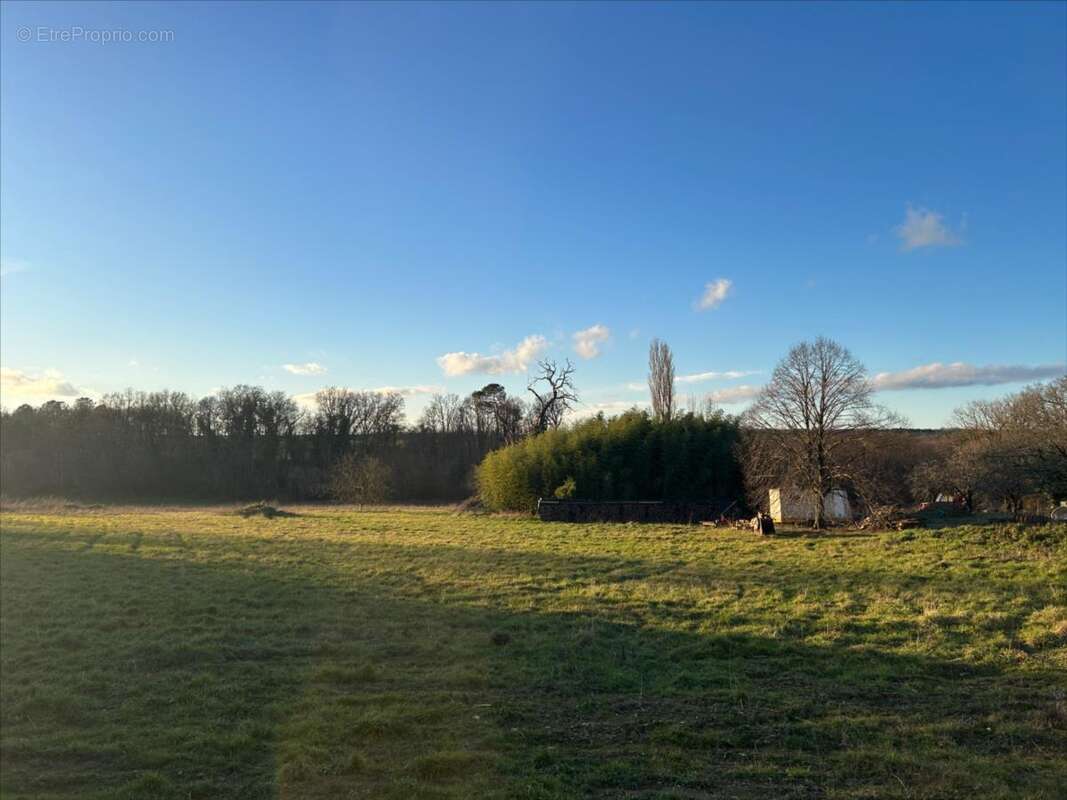 Terrain à LA CHAPELLE-MOULIERE
