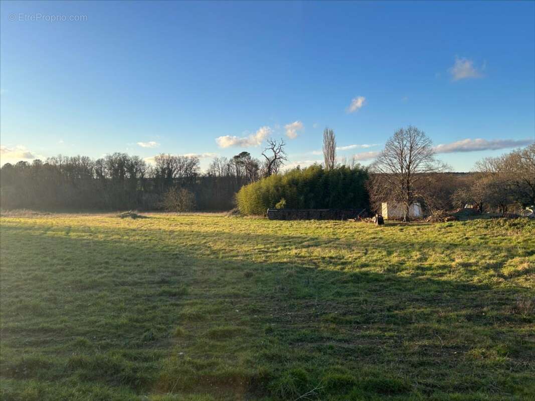 Terrain à LA CHAPELLE-MOULIERE