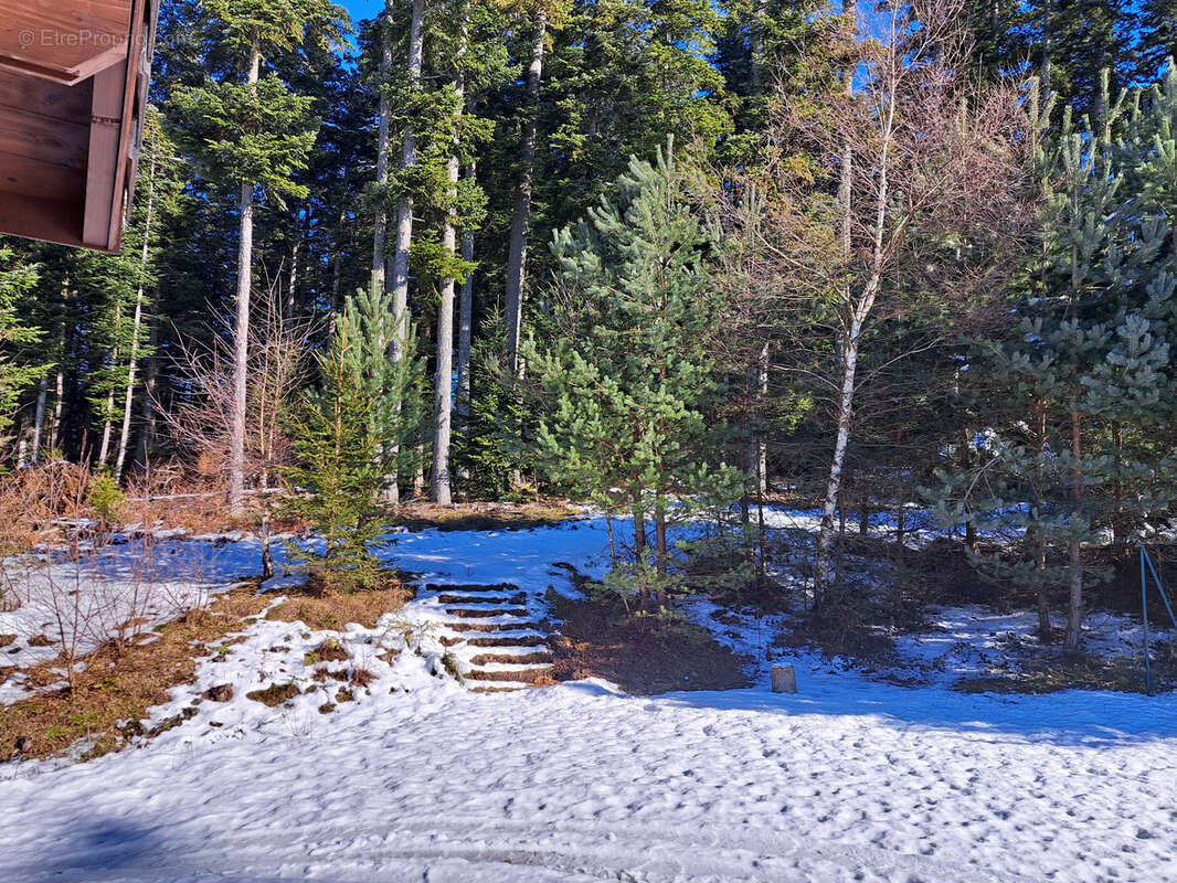 Maison à LE CHAMBON-SUR-LIGNON