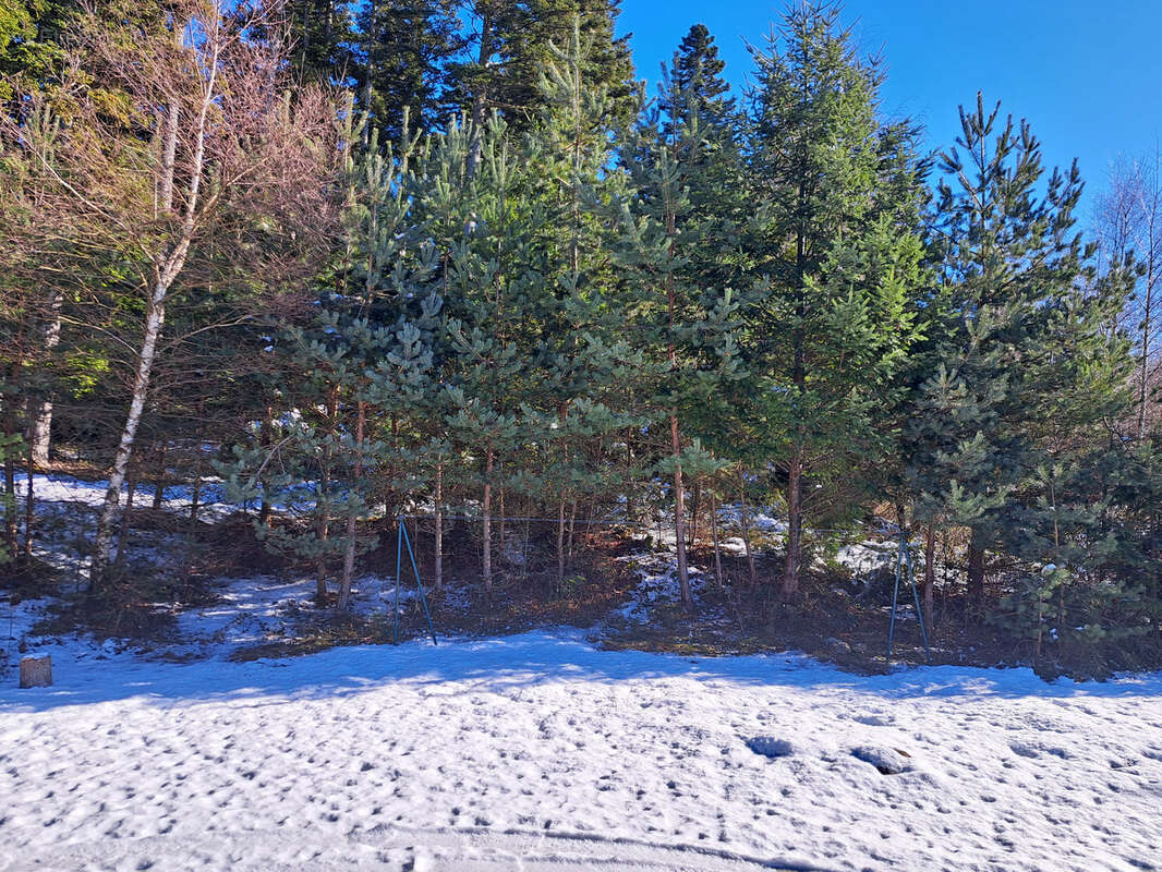 Maison à LE CHAMBON-SUR-LIGNON