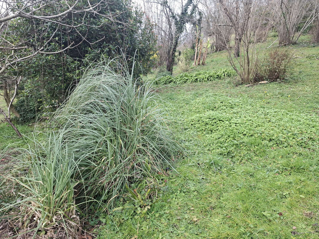 Maison à SAINT-JUST-IBARRE