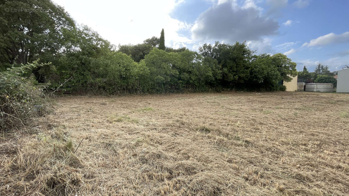 Commerce à SOMMIERES