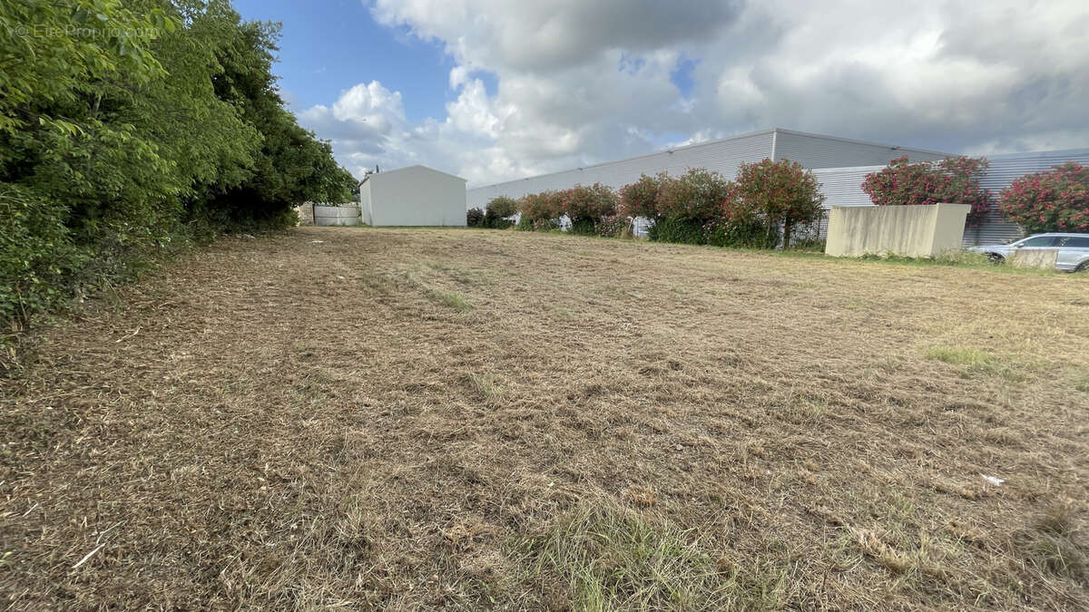 Commerce à SOMMIERES