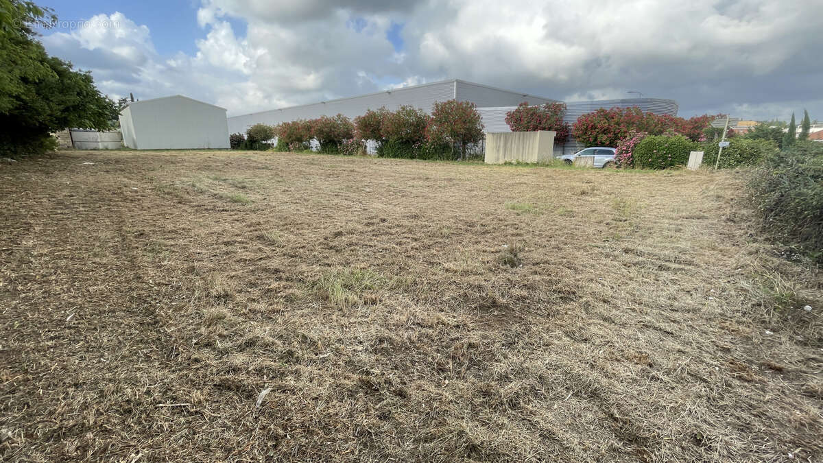 Commerce à SOMMIERES