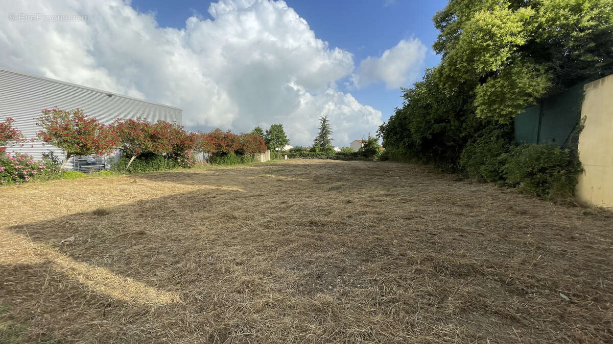 Commerce à SOMMIERES