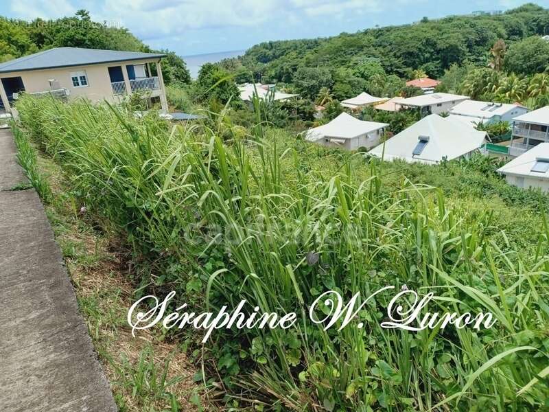 Terrain à LA TRINITE