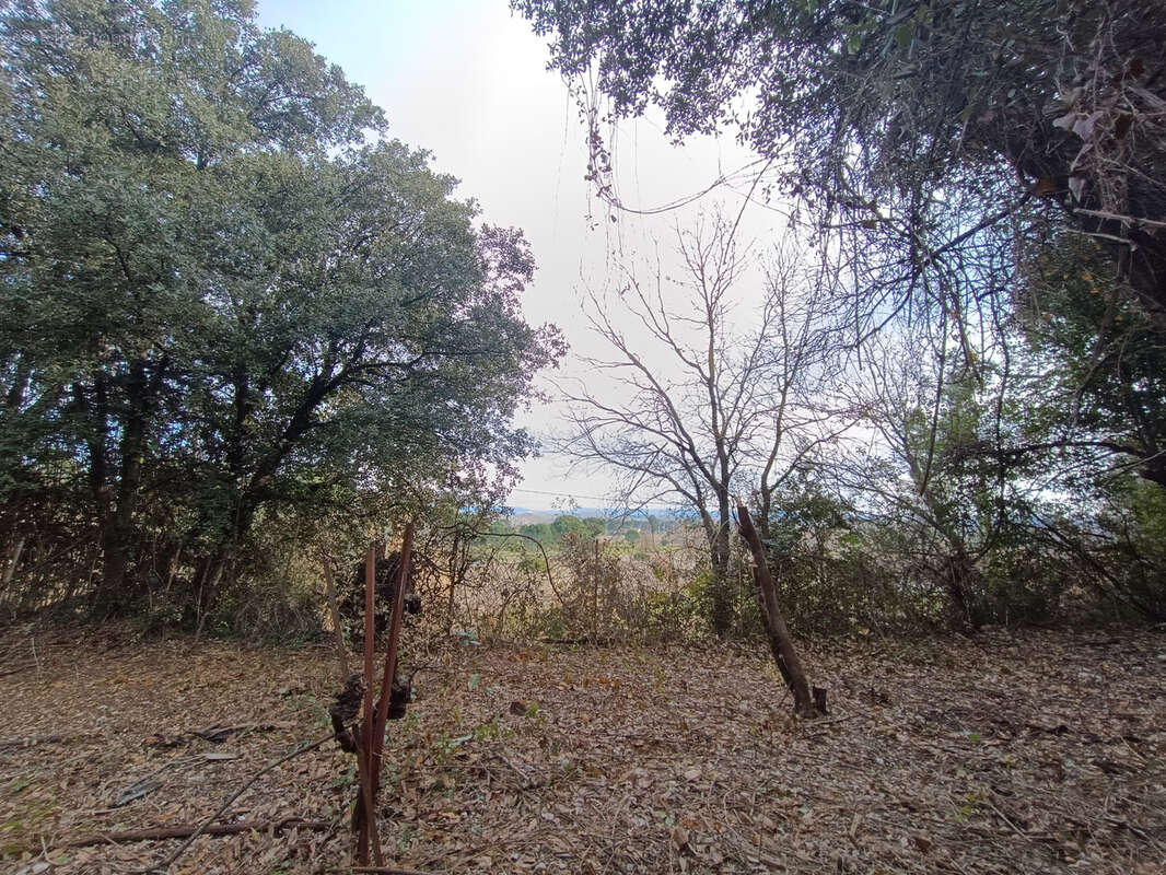 Terrain à SAINT-ANDRE-DE-SANGONIS