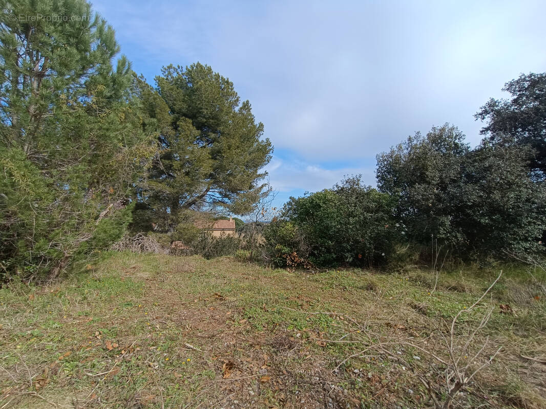 Terrain à SAINT-ANDRE-DE-SANGONIS