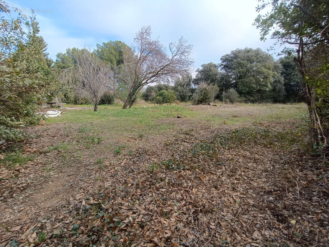 Terrain à SAINT-ANDRE-DE-SANGONIS