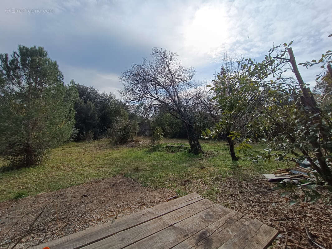 Terrain à SAINT-ANDRE-DE-SANGONIS