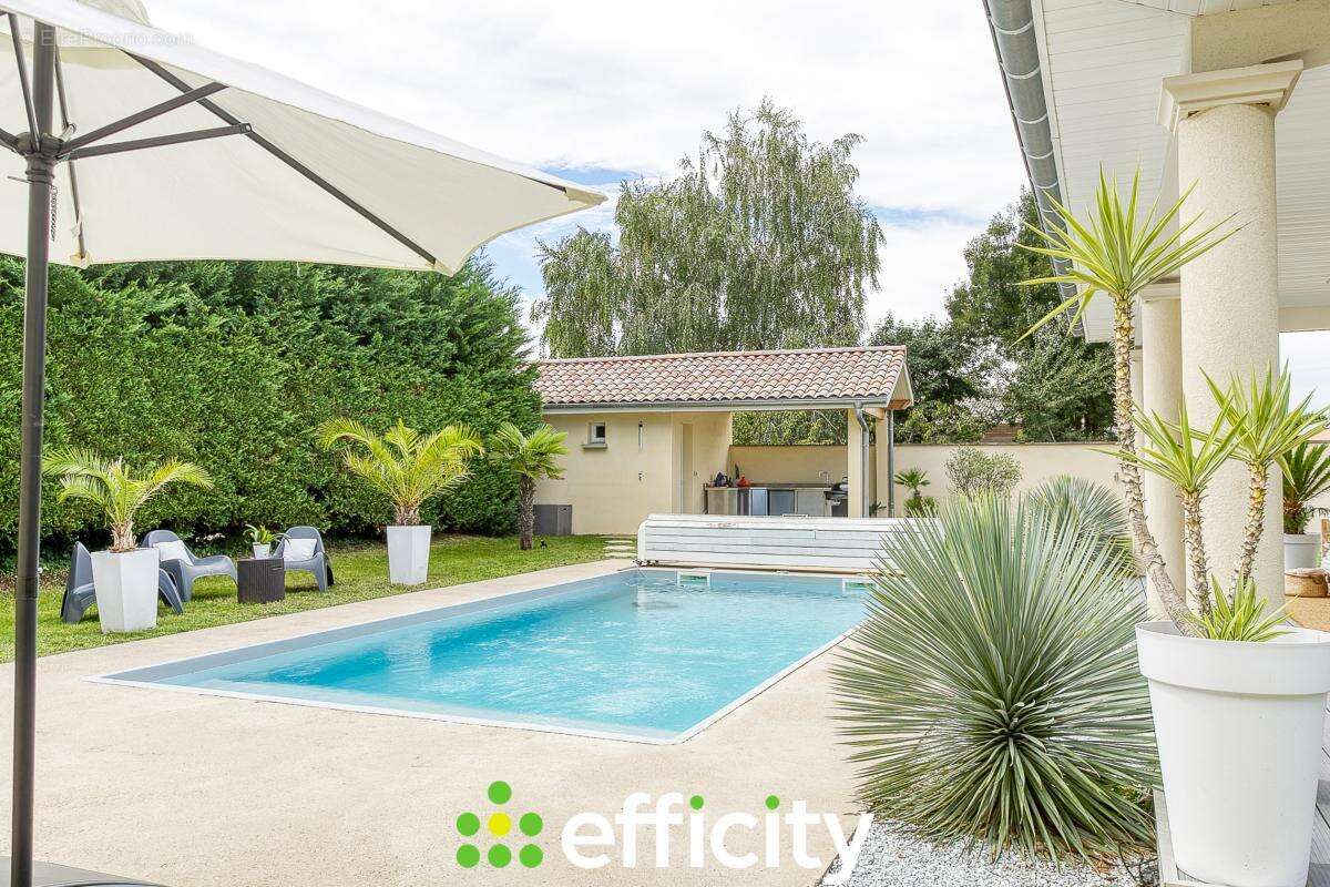 Maison à MESSIMY-SUR-SAONE