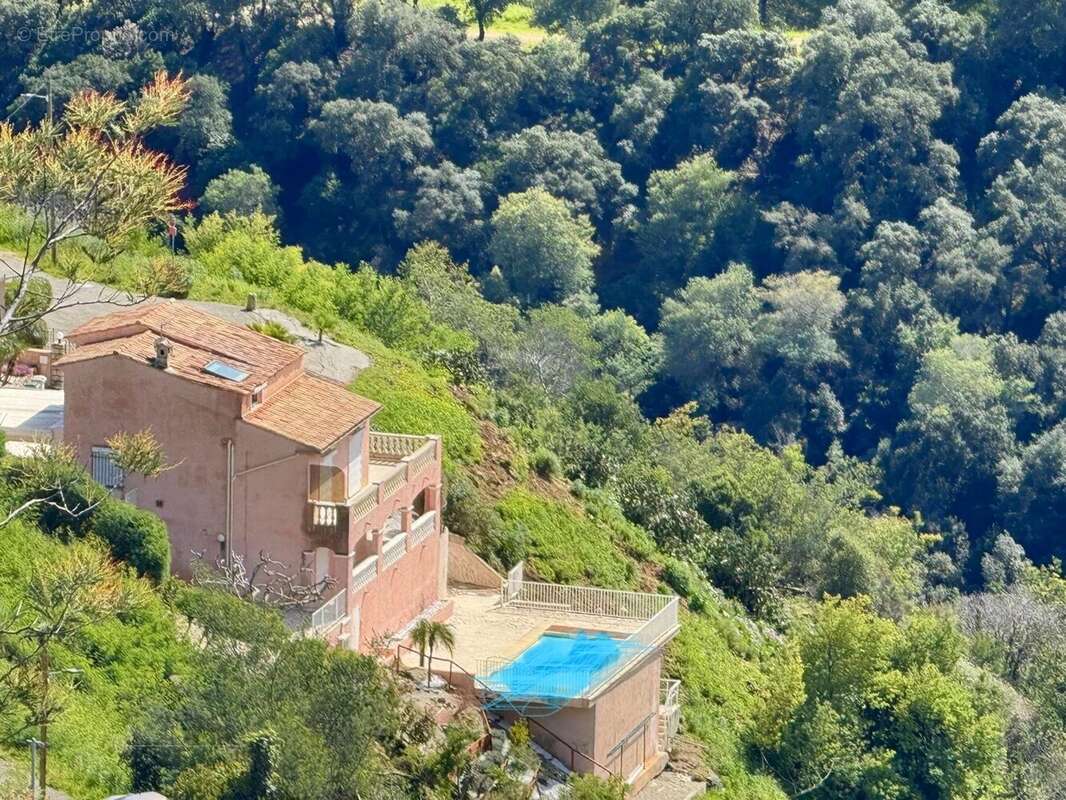 Maison à MANDELIEU-LA-NAPOULE