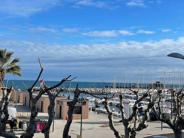 Appartement à BANYULS-SUR-MER
