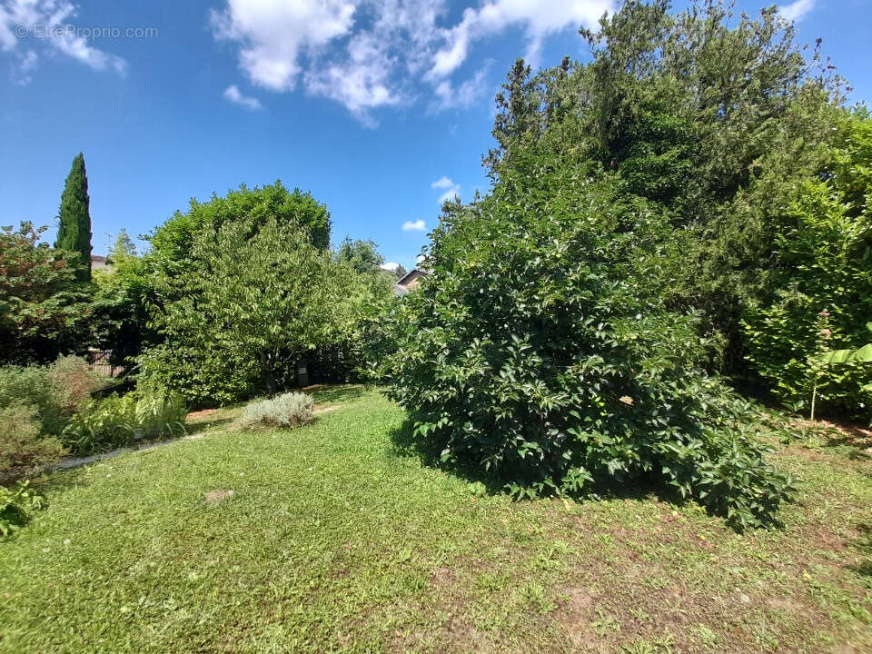 Maison à AMBERIEU-EN-BUGEY