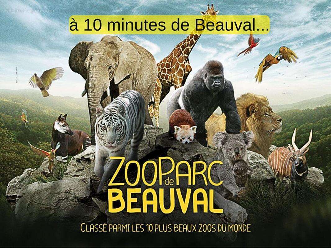 Maison à NOUANS-LES-FONTAINES