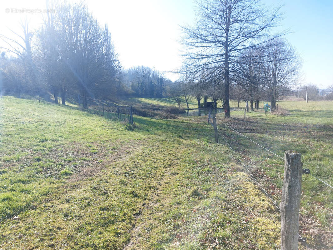 Maison à CREUZIER-LE-VIEUX