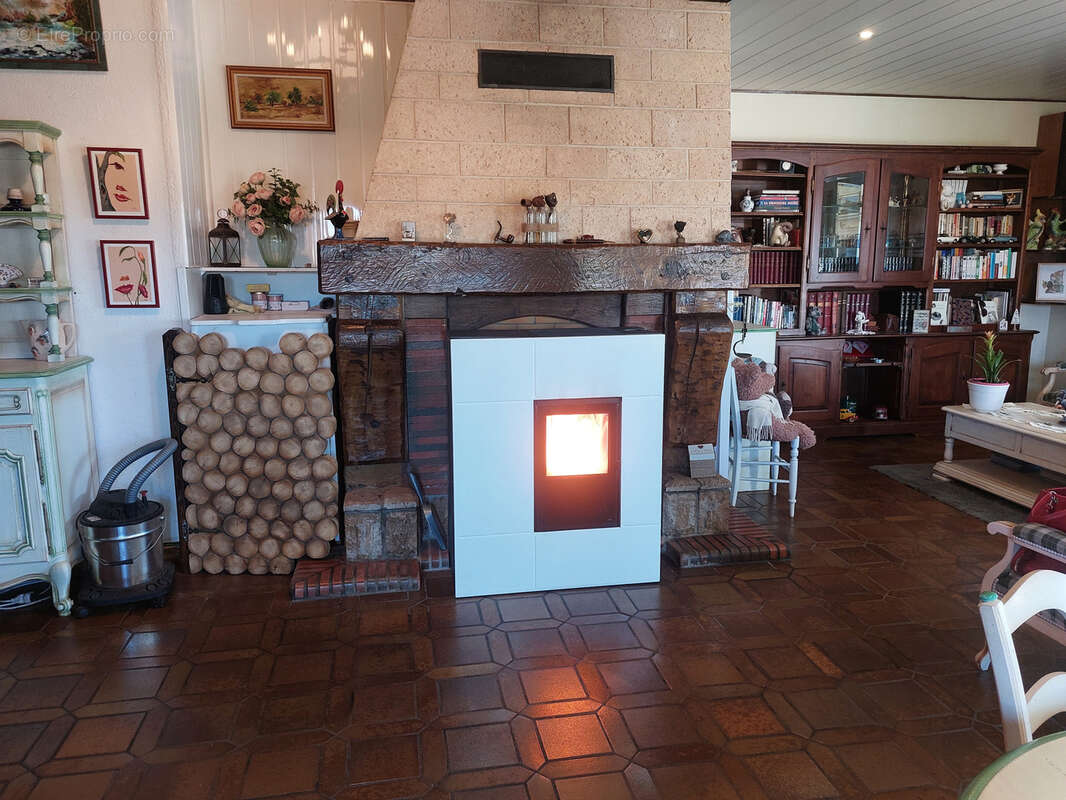 Maison à CREUZIER-LE-VIEUX