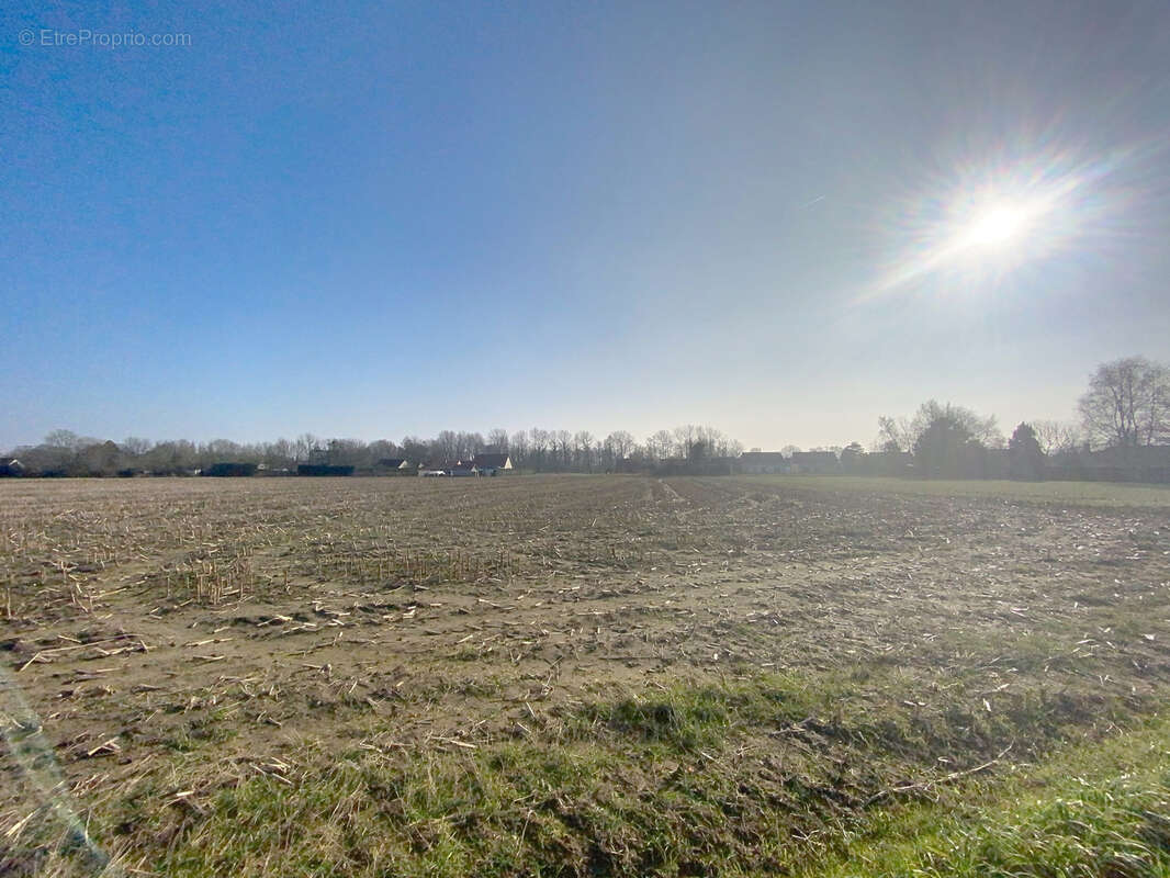 Terrain à PONTHOILE