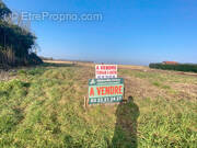 Terrain à PONTHOILE