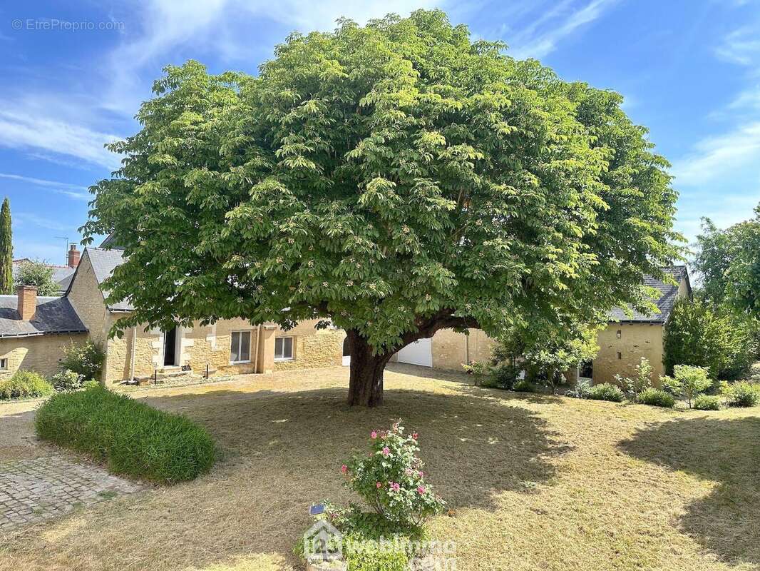 Le tout niché dans un parc arboré... - Maison à CHAVAGNES