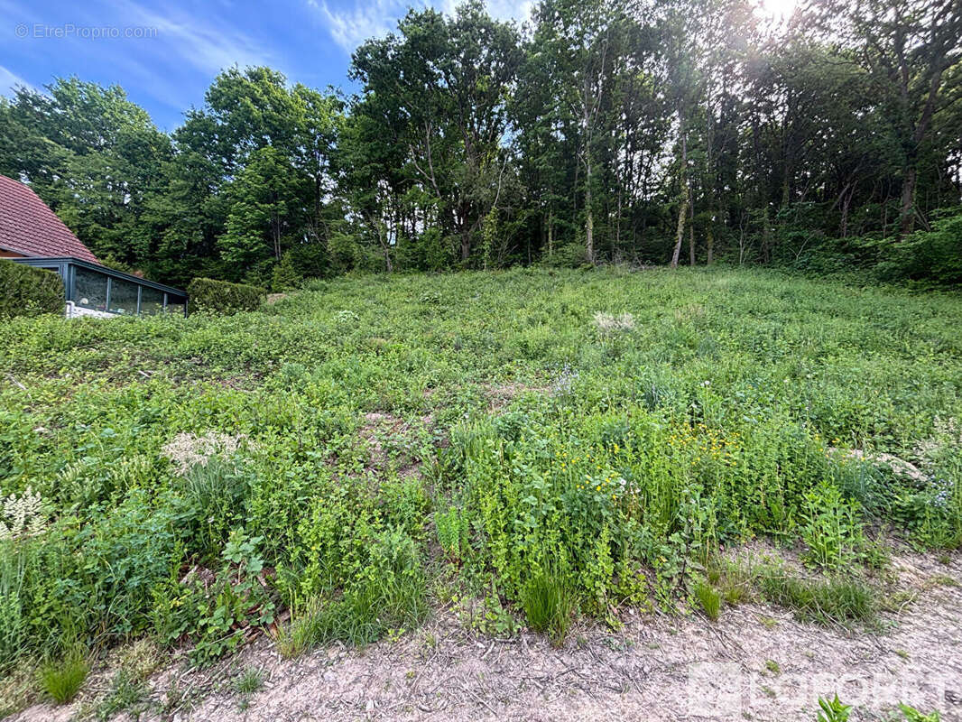 Terrain à NIEDERHASLACH