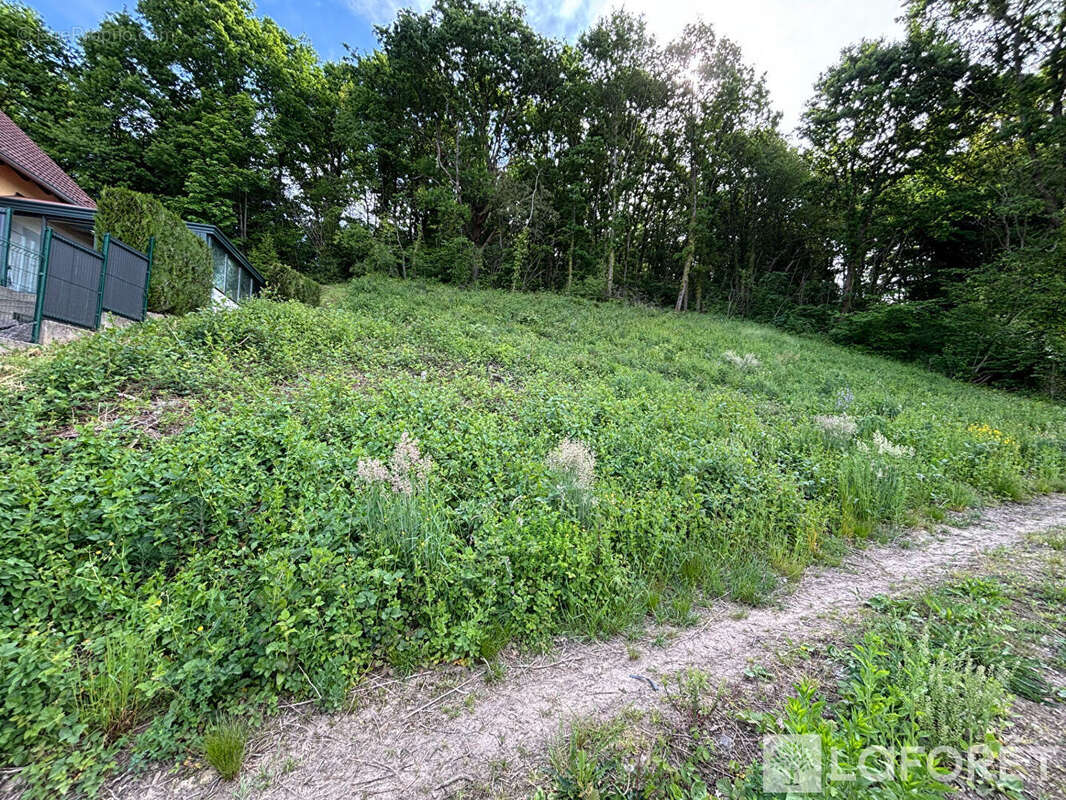 Terrain à NIEDERHASLACH