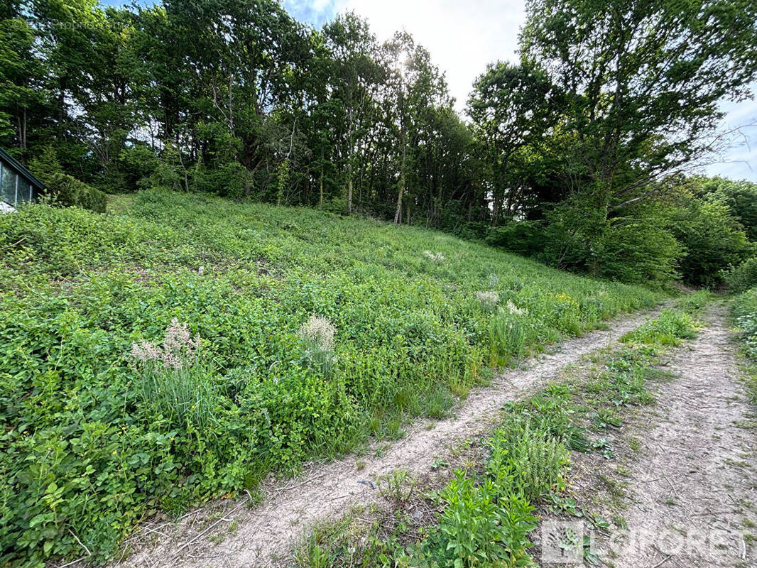 Terrain à NIEDERHASLACH