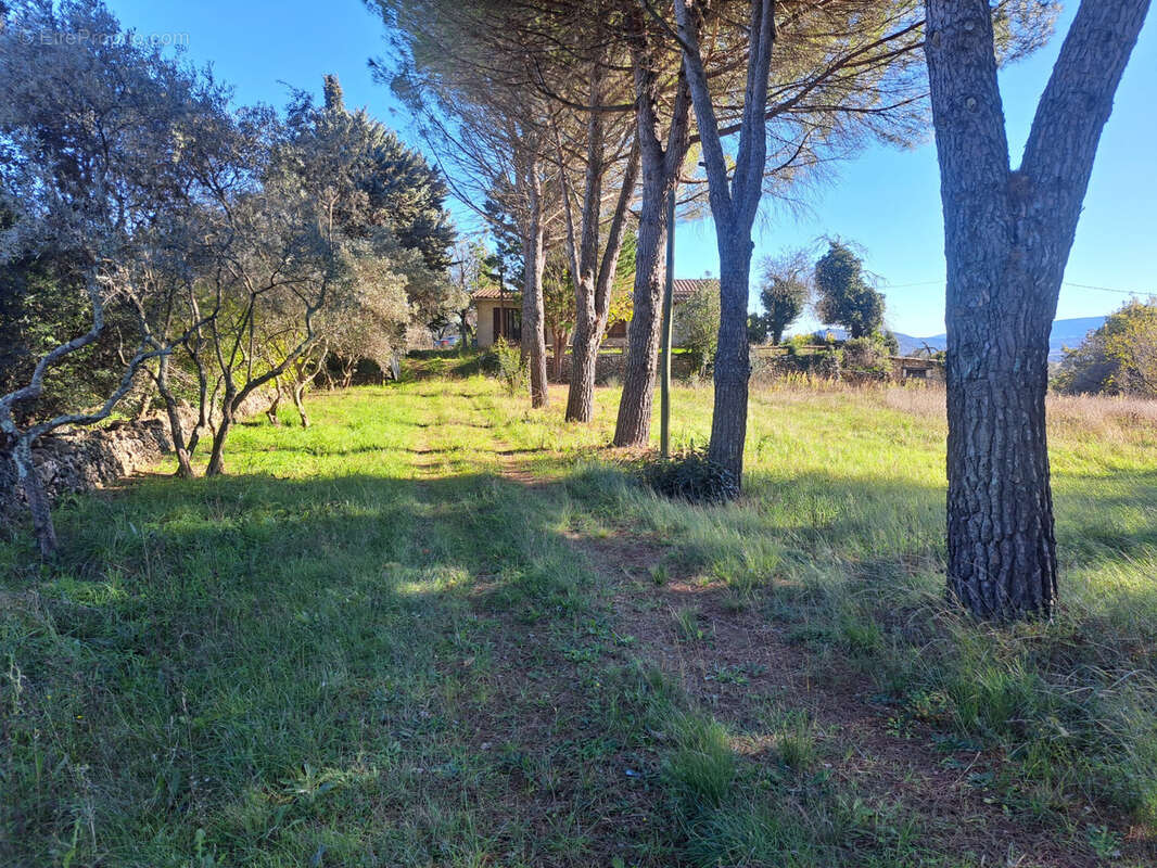 Maison à SAINT-MAXIMIN-LA-SAINTE-BAUME