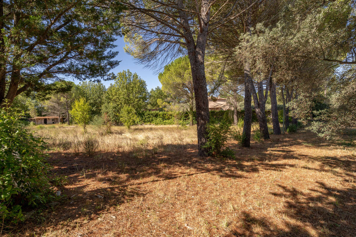 Maison à SAINT-MAXIMIN-LA-SAINTE-BAUME