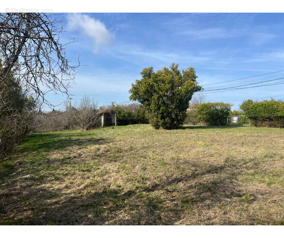 Terrain à SAINT-FELIX-LAURAGAIS