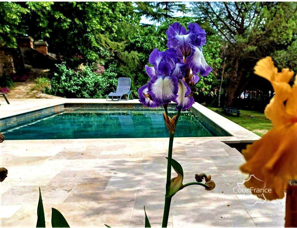 Maison à SAINT-FLORENT-SUR-AUZONNET