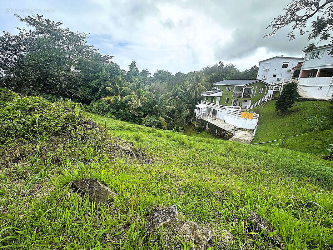 Terrain à LE LORRAIN